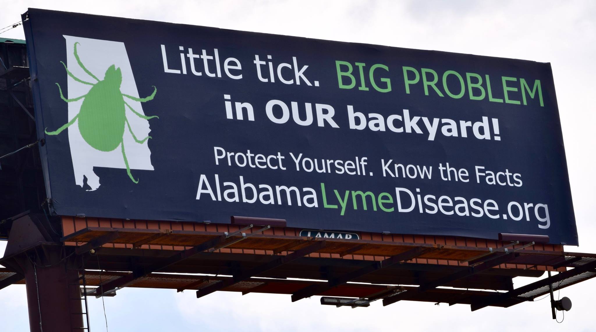 Alabama Reports 50% Increase in Cases of Lyme Disease