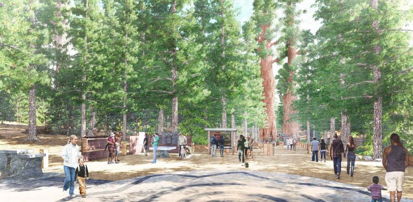 Mariposa Grove of Giant Sequoias Set to Re-Open June 15