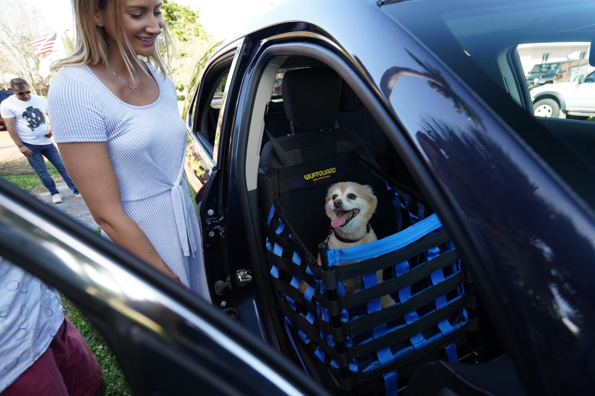 A New Car Seat to Keep Your Pets Safe