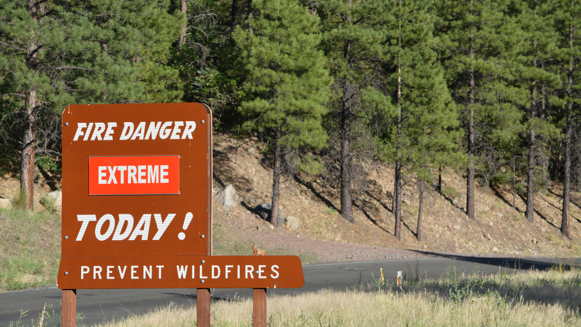 Arizona’s Coconino and Kaibab Forests Close Due to Wildfire Concerns
