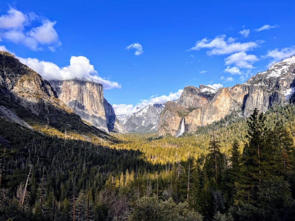 Yosemite campging 