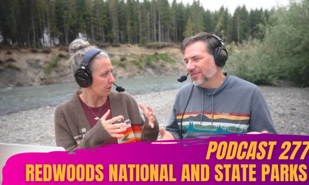 Episode 277: What to Do and Where to RV in Redwood National and State Parks