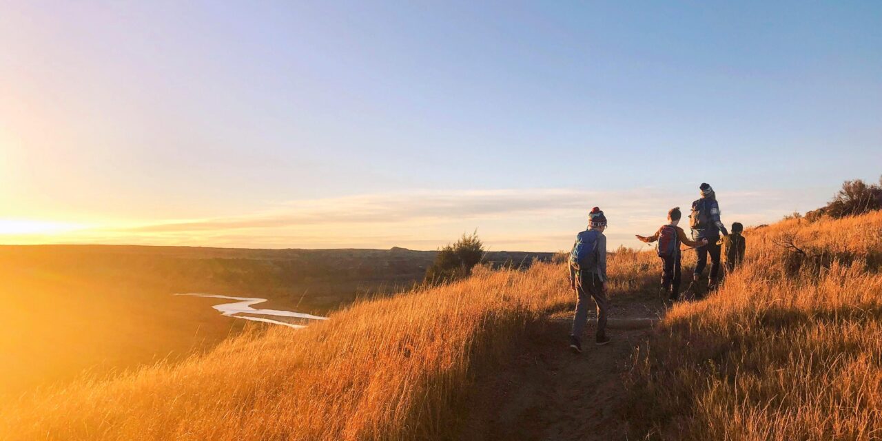 11 Campgrounds Near Theodore Roosevelt National Park: Where to Stay Within 20 Miles