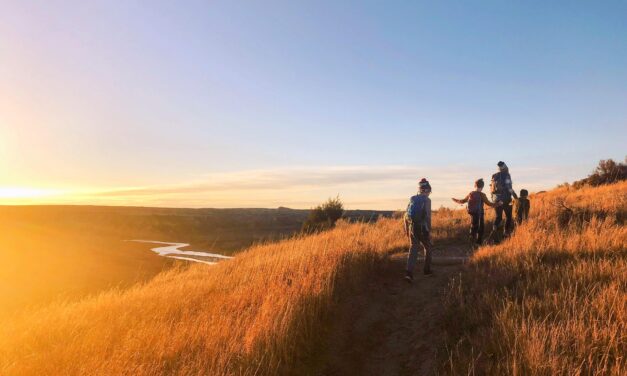 11 Campgrounds Near Theodore Roosevelt National Park: Where to Stay Within 20 Miles