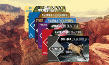 Understanding National Park Passes in 2026: Which Pass Is Right for You?