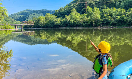 National Park Visitation Surpasses 323 Million in 2025