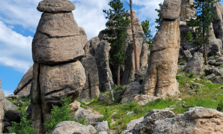 Fire Causes Evacuations and Closures in Custer State Park