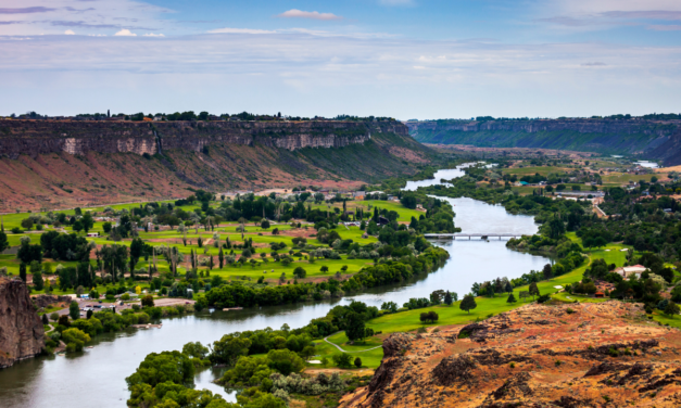 Idaho Fish and Game Commissioner Faces Wildlife Charges in Elk Case