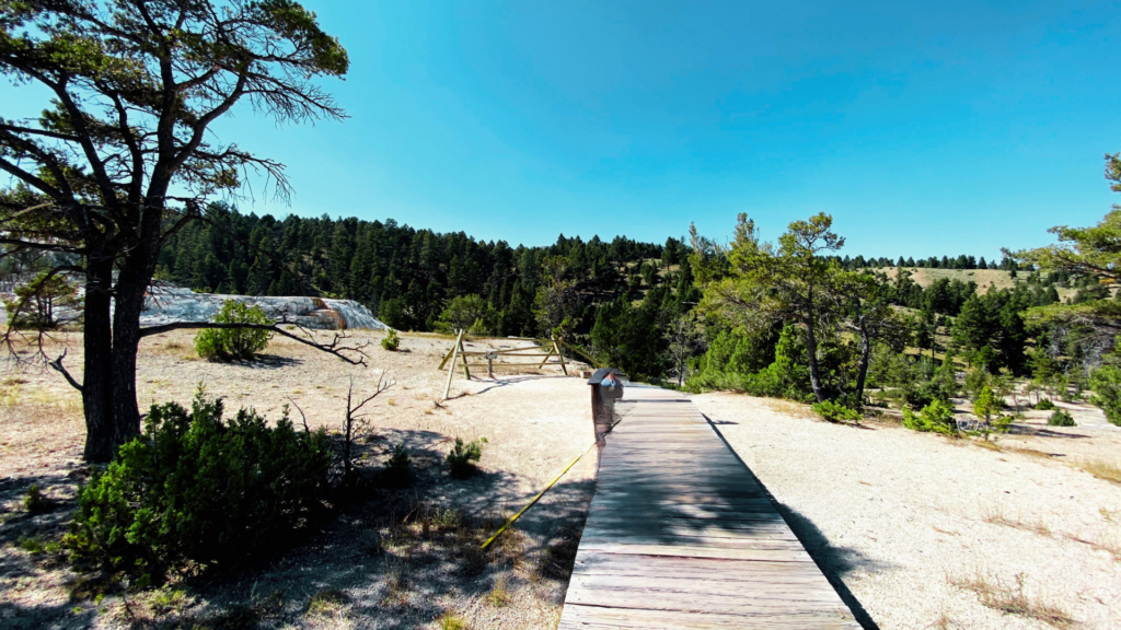 A Texas man has been sentenced to five days in jail after walking off a boardwalk and onto fragile thermal features in Yellowstone.