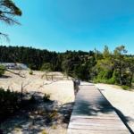 Texas Man Sentenced After Walking on Yellowstone Thermal Features