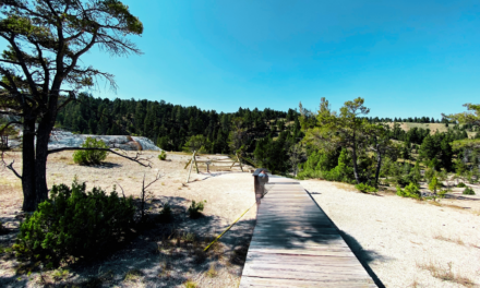 Texas Man Sentenced After Walking on Yellowstone Thermal Features