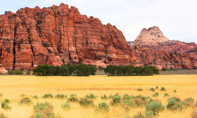 BLM’s New Plan Could Make Camping Near Zion a Lot Harder