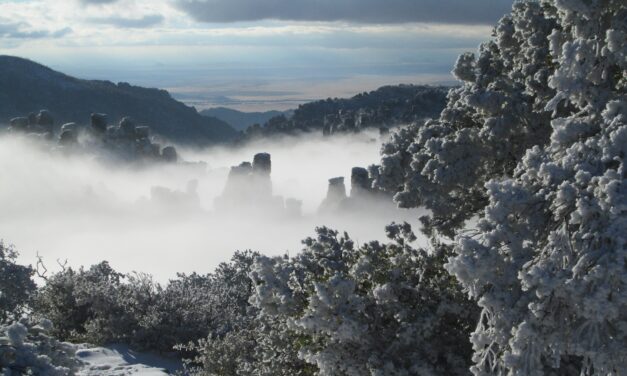 Chiricahua National Monument could become Arizona’s fourth national park