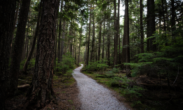 Florida Hiker Found Dead After Apparent Bear Attack in Glacier National Park