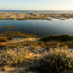 CA State Parks’ New Rule: Cancel Late, Lose Everything
