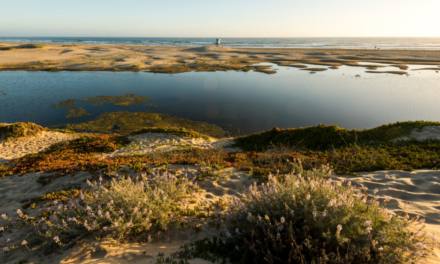 CA State Parks’ New Rule: Cancel Late, Lose Everything