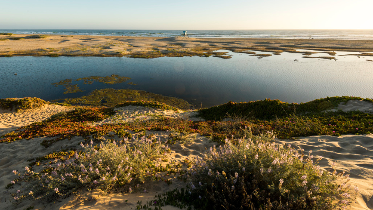 CA State Parks’ New Rule: Cancel Late, Lose Everything